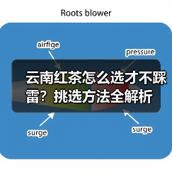 云南红茶怎么选才不踩雷?挑选方法全解析(图1) 云南红茶怎么选才不踩雷?挑选方法全解析(图1)