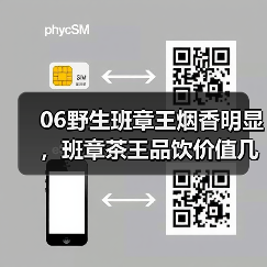 06野生班章王烟香明显，班章茶王品饮价值几何？（图4）