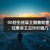 06野生班章王烟香明显，班章茶王品饮价值几何？（图3）