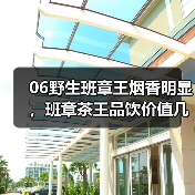 06野生班章王烟香明显，班章茶王品饮价值几何？（图2）