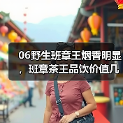 06野生班章王烟香明显，班章茶王品饮价值几何？（图1）
