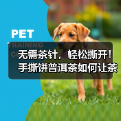 无需茶针,轻松撕开!手撕饼普洱茶如何让茶香随时释放?(图4) 无需茶针,轻松撕开!手撕饼普洱茶如何让茶香随时释放?(图4)