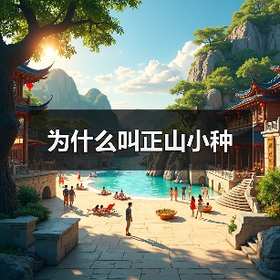 为什么叫正山小种（图1）