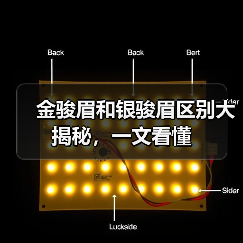 金骏眉和银骏眉区别大揭秘,一文看懂(图4) 金骏眉和银骏眉区别大揭秘,一文看懂(图4)