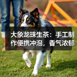 大象龙珠生茶:手工制作便携冲泡,香气浓郁回味甘甜(图4) 大象龙珠生茶:手工制作便携冲泡,香气浓郁回味甘甜(图4)