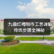 九曲红梅制作工艺详解,传统步骤全揭秘(图4) 九曲红梅制作工艺详解,传统步骤全揭秘(图4)