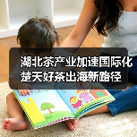 湖北茶产业加速国际化 楚天好茶出海新路径(图4) 湖北茶产业加速国际化 楚天好茶出海新路径(图4)