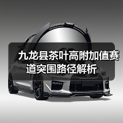 九龙县茶叶高附加值赛道突围路径解析(图3) 九龙县茶叶高附加值赛道突围路径解析(图3)