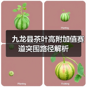 九龙县茶叶高附加值赛道突围路径解析(图4) 九龙县茶叶高附加值赛道突围路径解析(图4)