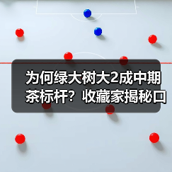 为何绿大树大2成中期茶标杆？收藏家揭秘口感秘诀（图2）