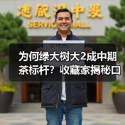 为何绿大树大2成中期茶标杆？收藏家揭秘口感秘诀（图3）