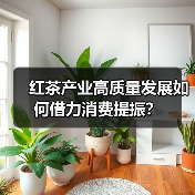 红茶产业高质量发展如何借力消费提振？（图4）