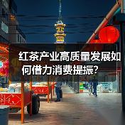红茶产业高质量发展如何借力消费提振？（图3）