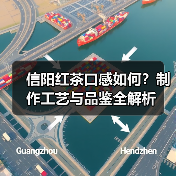 信阳红茶口感如何?制作工艺与品鉴全解析(图1) 信阳红茶口感如何?制作工艺与品鉴全解析(图1)