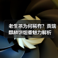 老生茶为何稀有？贡瑞麒麟饼烟香魅力解析（图4）