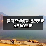 普洱茶如何贯通历史与全球的纽带（图3）