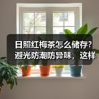日照红梅茶怎么储存？避光防潮防异味，这样保存更久（图4）