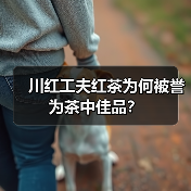 川红工夫红茶为何被誉为茶中佳品?(图1) 川红工夫红茶为何被誉为茶中佳品?(图1)