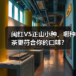 闽红VS正山小种,哪种茶更符合你的口味?(图3) 闽红VS正山小种,哪种茶更符合你的口味?(图3)