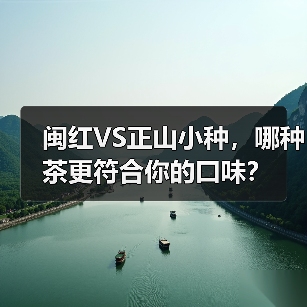 闽红VS正山小种,哪种茶更符合你的口味?(图2) 闽红VS正山小种,哪种茶更符合你的口味?(图2)