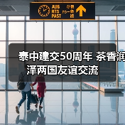 泰中建交50周年 茶香润泽两国友谊交流（图1）