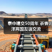 泰中建交50周年 茶香润泽两国友谊交流（图2）