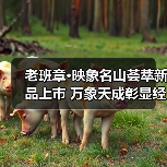 老班章·映象名山荟萃新品上市 万象天成彰显经典（图1）