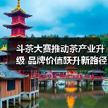斗茶大赛推动茶产业升级 品牌价值跃升新路径（图4）