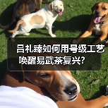 吕礼臻如何用号级工艺唤醒易武茶复兴?(图2) 吕礼臻如何用号级工艺唤醒易武茶复兴?(图2)