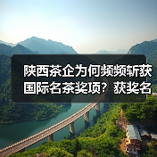 陕西茶企为何频频斩获国际名茶奖项?获奖名单曝光(图2) 陕西茶企为何频频斩获国际名茶奖项?获奖名单曝光(图2)