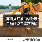 高海拔红茶口感醇厚?自然环境与工艺揭秘(图4) 高海拔红茶口感醇厚?自然环境与工艺揭秘(图4)
