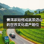 普洱茶如何成就景迈山的世界文化遗产地位(图3) 普洱茶如何成就景迈山的世界文化遗产地位(图3)