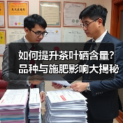 如何提升茶叶硒含量？品种与施肥影响大揭秘（图1）