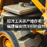 坦洋工夫茶产地在哪?福建福安坦洋村的自然环境揭秘(图4) 坦洋工夫茶产地在哪?福建福安坦洋村的自然环境揭秘(图4)