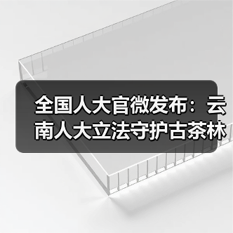 全国人大官微发布:云南人大立法守护古茶林千年茶韵(图2) 全国人大官微发布:云南人大立法守护古茶林千年茶韵(图2)