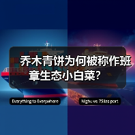 乔木青饼为何被称作班章生态小白菜？（图2）