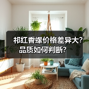 祁红香螺价格差异大?品质如何判断?(图3) 祁红香螺价格差异大?品质如何判断?(图3)