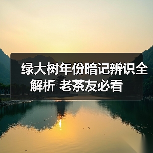 绿大树年份暗记辨识全解析 老茶友必看（图3）