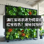 滇红宝塔茶汤为何呈现红宝石色？揭秘其独特魅力（图4）