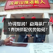 协调甜润！勐海茶厂301青饼拼配优势如何？（图4）