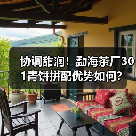 协调甜润！勐海茶厂301青饼拼配优势如何？（图1）