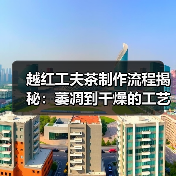 越红工夫茶制作流程揭秘：萎凋到干燥的工艺全解析（图1）
