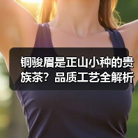 铜骏眉是正山小种的贵族茶？品质工艺全解析（图3）