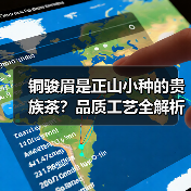 铜骏眉是正山小种的贵族茶？品质工艺全解析（图2）