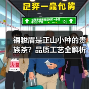 铜骏眉是正山小种的贵族茶？品质工艺全解析（图4）