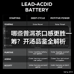 哪些普洱茶口感更胜一筹？开汤品鉴全解析（图1）