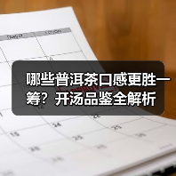 哪些普洱茶口感更胜一筹？开汤品鉴全解析（图4）