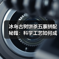 冰岛古树饼茶五寨拼配秘籍:科学工艺如何成就茶中珍品?(图1) 冰岛古树饼茶五寨拼配秘籍:科学工艺如何成就茶中珍品?(图1)