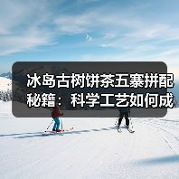 冰岛古树饼茶五寨拼配秘籍:科学工艺如何成就茶中珍品?(图2) 冰岛古树饼茶五寨拼配秘籍:科学工艺如何成就茶中珍品?(图2)