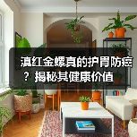 滇红金螺真的护胃防癌？揭秘其健康价值（图2）
